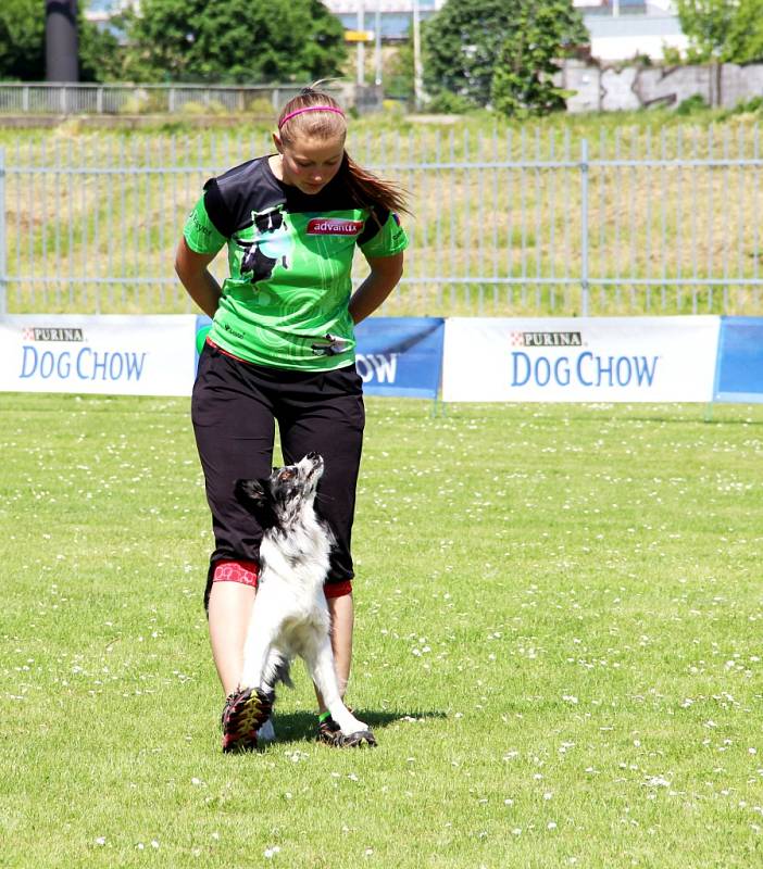 To nejlepší z Dogfrisbee jde o víkendu k vidění v Olomouci