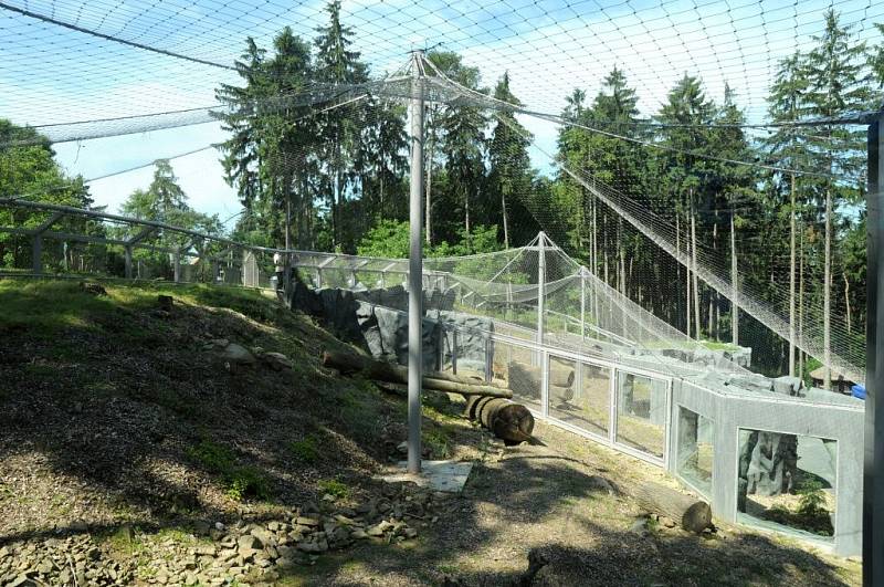 Nový výběh pro levharty mandžuské v olomoucké zoo