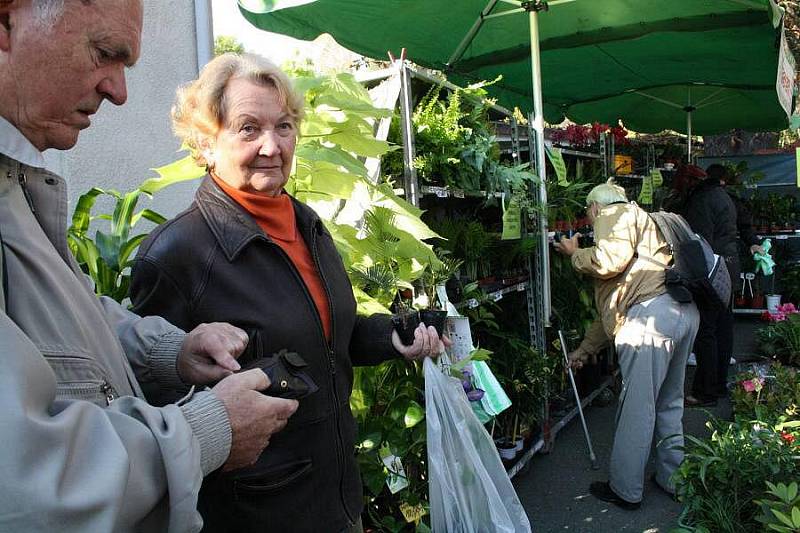 Podzimní Flora na olomouckém výstavišti