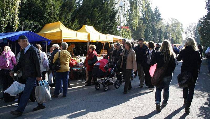 Podzimní Flora na olomouckém výstavišti