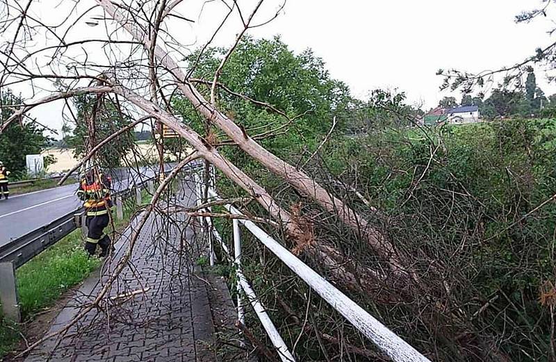 Hasiči uklízejí následky bouřky u Olšan u Prostějova - 28. 7. 2019