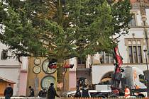 Instalace vánočního stromu na Horním náměstí v Olomouci. Ilustrační foto