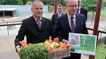 Premiér Bohuslav Sobotka v olomoucké zoo pokřtil mládě zebry