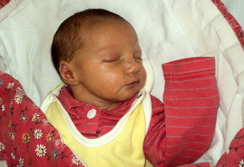 Adéla Bartoňková, Nová Dědina, narozena 1. listopadu ve Šternberku, míra 48 cm, váha 2710 g