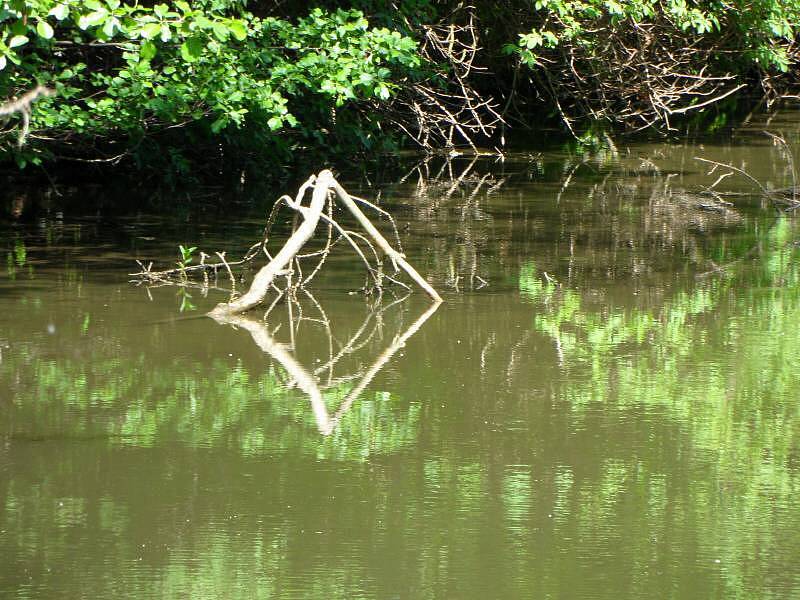 Zrcadlení na řece. Tovačov, květen 2012
