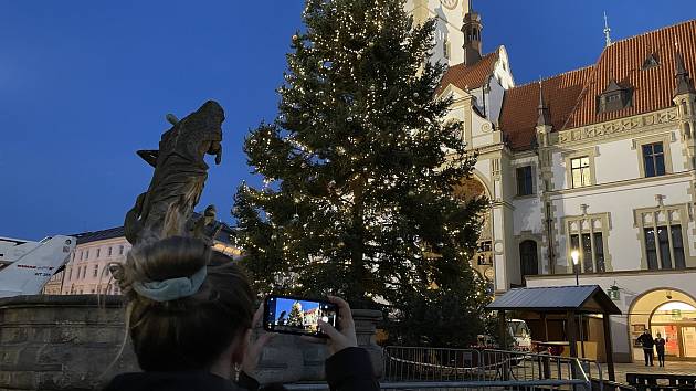 Ozdobená olomoucká vánoční jedle na Horním náměstí. 10. listopadu 2021