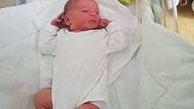 Sebastian Berndard, Přerov-Kozlovice, narozen 22. července, míra 52 cm, váha 3730 g