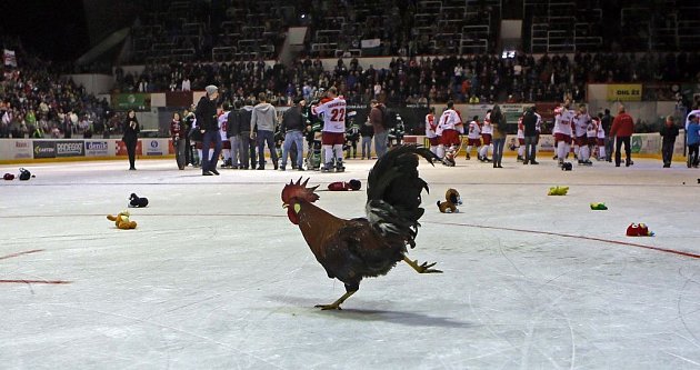 Extraligové oslavy na zimním stadionu v Olomouci