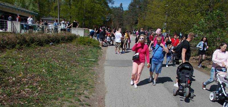 Nedělní odpoledne u olomoucké zoo na Sv. Kopečku, 9. května 2021