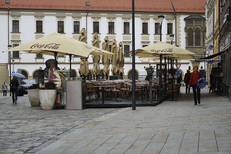 Příprava zahrádek a předzahrádek v historickém centru Olomouce, 14. 5. 2021