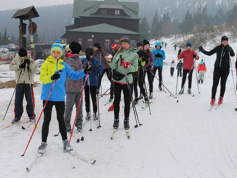 Jaro pod Pradědem - okolí Ovčárny uprostřed března 2014