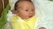 David Beran, Bílsko, narozen 18. července ve Šternberku, míra 50 cm, váha 2410 g