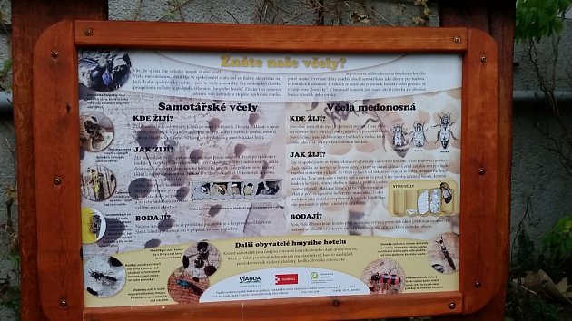 Botanická zahrada UP v Olomouci otevřela hotel pro hmyz a pozorovací úl