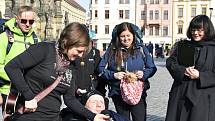 Milan Langer a jeho tým při rozlučce před cestou do Santiaga de Compostela na Horním náměstí v Olomouci, 21. 3. 2019