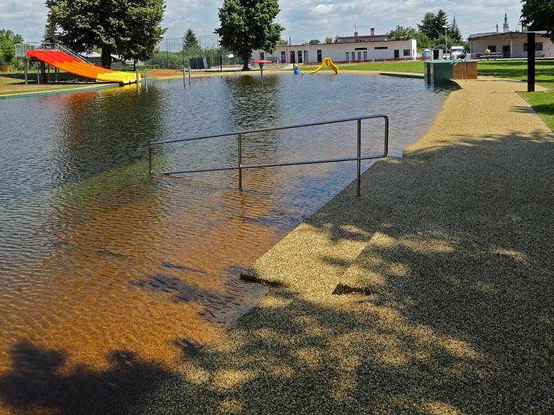 Městské koupaliště v Litovli jako přírodní biotop