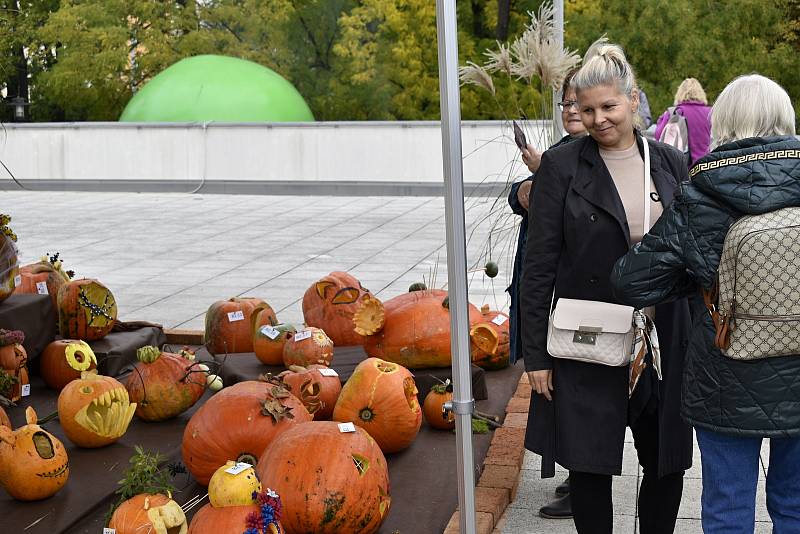 Olomoucká Flora nabídla rozmanitost podzimních barev. 1.10. 2022