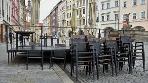 Příprava zahrádek a předzahrádek v historickém centru Olomouce, 14. 5. 2021