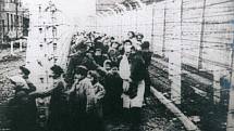 Snímek z doby, kdy do koncentračního tábora v polské Osvětimi dorazila ruská armáda.