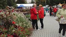 Podzimní Flora Olomouc 2019