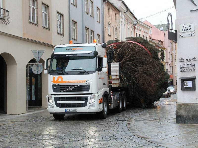 Kácení, převoz a stavění olomouckého vánočního stromu – 16. 11. 2014