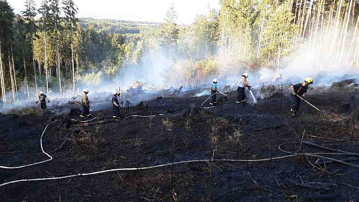 Zákaz rozdělávání nebo udržování otevřeného ohně ve volné přírodě, pálení klestí na zahradách či používání pyrotechniky platí od 12. července až do odvolání v celém Olomouckém kraji.