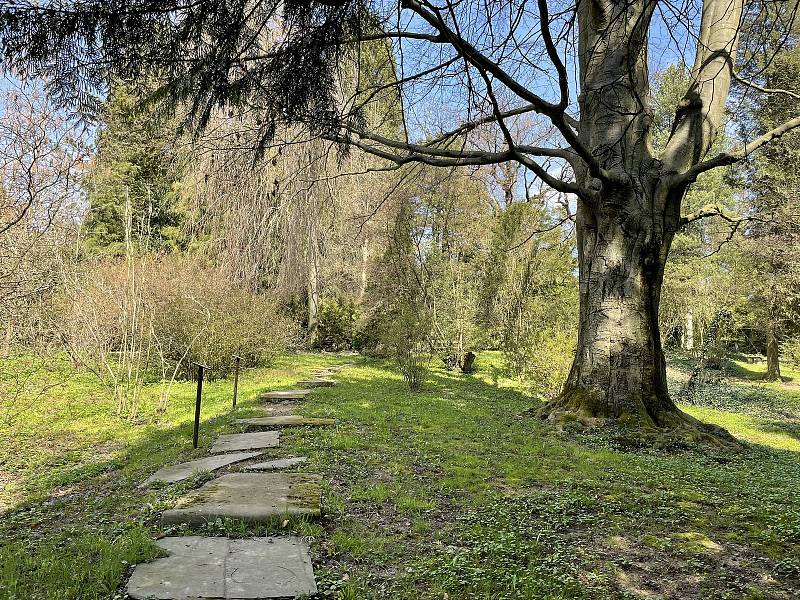 Arboretum Bílá Lhota, nejkrásnější zahrada Olomouckého kraje, otevřena od 1. května denně, kromě pondělí, 30. dubna 2021