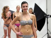 Casting soutěže Miss OK 2016 (Miss středních škol Olomouckého kraje)