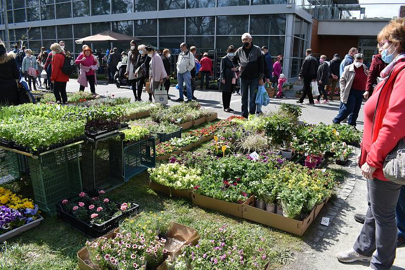 První Zahradnické trhy roku 2021 na výstavišti Flora Olomouc. Sobota 24. dubna 2021