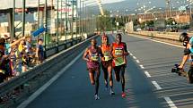 Olomoucký půlmaraton 2012