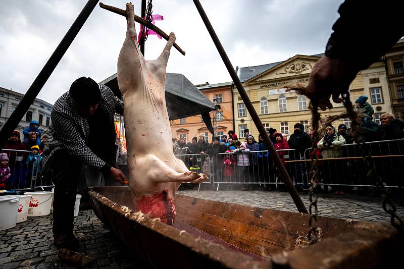 Olomoucké masopustní veselí. 4. února 2023.