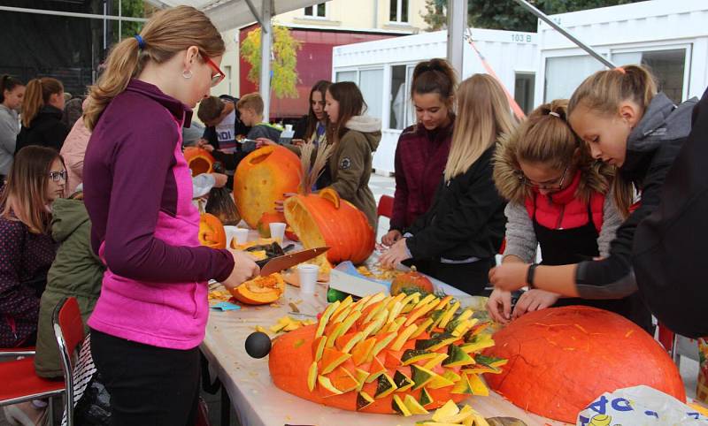 Podzimní Flora Olomouc 2019