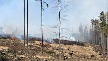 Hasiči v Olomouckém kraji v sobotu zasahovali u desítek požárů v přírodě.