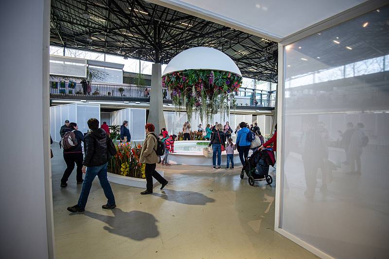 Jarní etapa květinové a zahradnické výstavy Flora Olomouc, 21. dubna 2022. Hlavní expozice v pavilonu A nese název Květy a světy. Výstava končí 24. dubna.