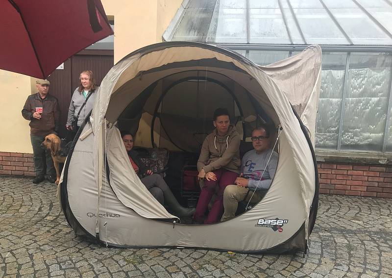 Národní výstava psů Floracanis Olomouc 2019 probíhá od sobotního dopoledne na Výstavišti Flora Olomouc. Mezi soutěžícími jsou zástupci bezmála 300 psích plemen.