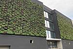 Zelená fasáda oživuje novostavbu moderního nízkoenergetického bytového domu v Tomkově ulici v Olomouci, květen 2022