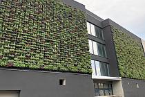 Zelená fasáda oživuje novostavbu moderního nízkoenergetického bytového domu v Tomkově ulici v Olomouci, květen 2022