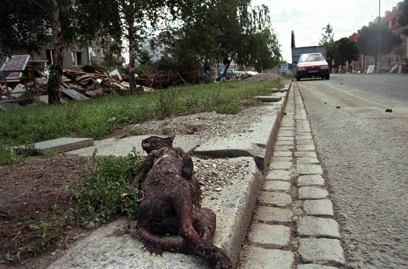 Olomouc, Lazce, 14. července 1997