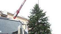 Stavění vánočního stromu na Horním náměstí v Olomouci