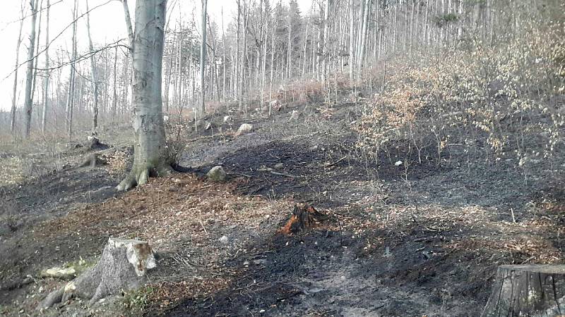 Hasiči během pondělí 6. dubna likvidovali požáry na devíti místech Olomouckého kraje. Požár u Zlatých Hor.
