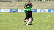 To nejlepší z Dogfrisbee jde o víkendu k vidění v Olomouci