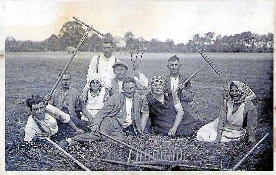 Sklizeň sena v Mezicích v roce 1930.