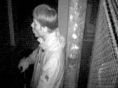 Zloděje, kteří vykradli sklepy v panelovém domě v Nedvědově ulici v Olomouci, zachytila kamera