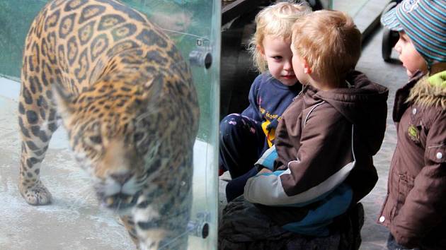 Letošní první teplý den v olomoucké zoo