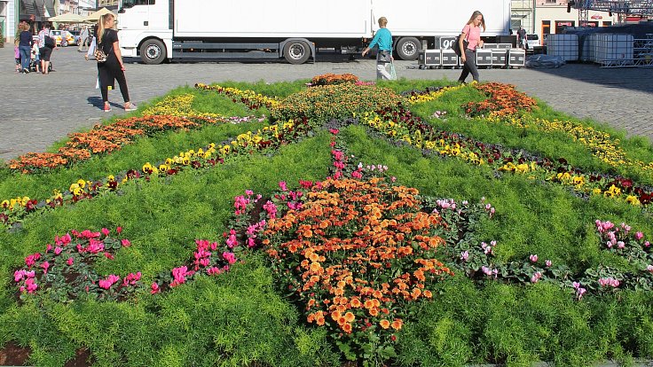 Květinový koberec na Horním náměstí v Olomouci