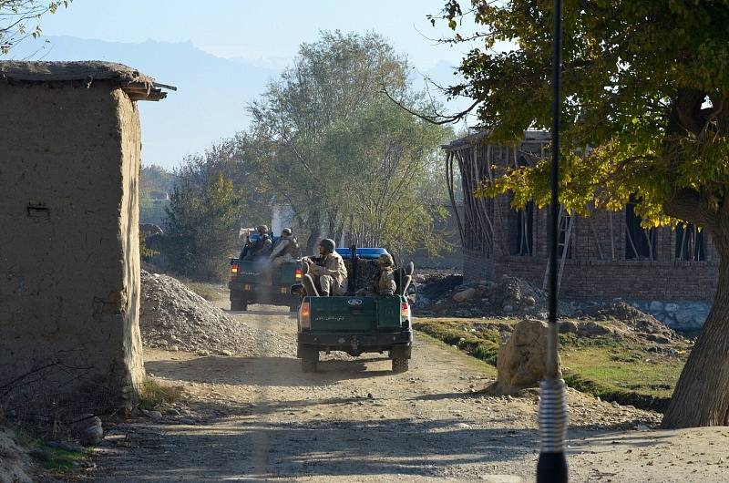 Operace s názvem Hungry Lion probíhala ve čtyřech afghánských vesnicích v bezpečnostní zóně základny Bagrám a účastnily se jí veškeré české strážní čety, které byly k dispozici.