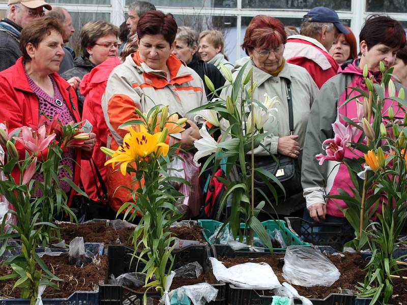 Jarní etapa Flory v Olomouci