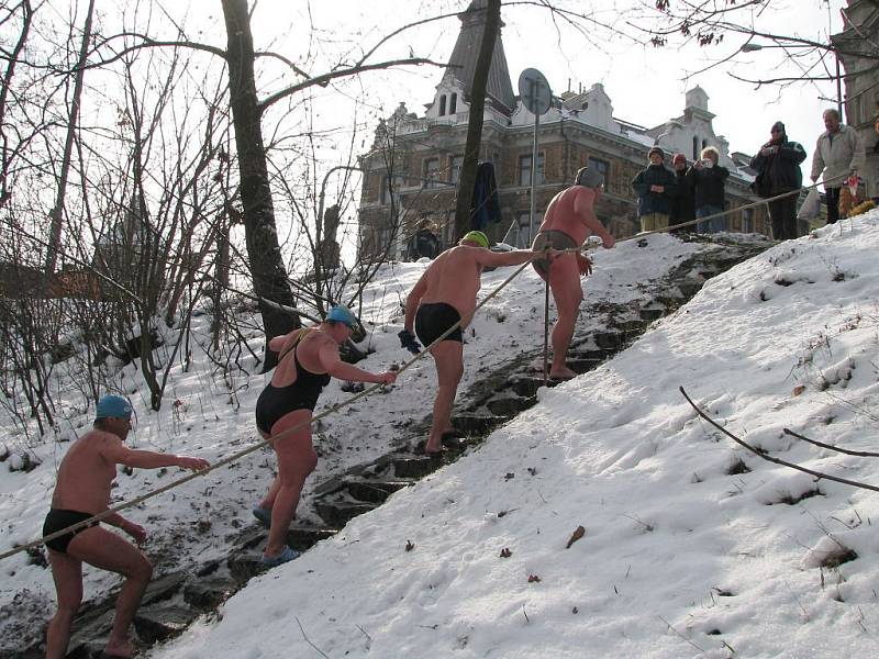 Otužilci v řece Moravě v Olomouci