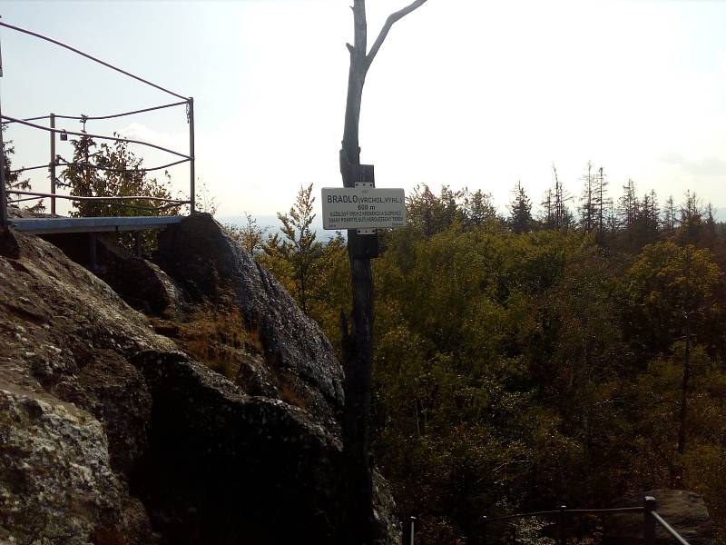 Bradlo, nejvyšší bod Úsovské vrchoviny, sžírá kůrovec. Turisty vyhledávaný kopec je na přístupových cestách k nepoznání