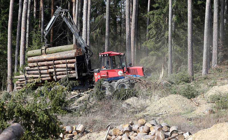 Zoologická zahrada na Svatém Kopečku u Olomouce poškozená vichřicemi. Konec března 2019