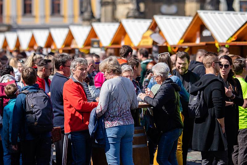 Olomoucký tvarůžkový festival, 23. dubna 2022